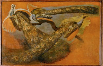 Three Peacocks by Pieter or Peter Boel