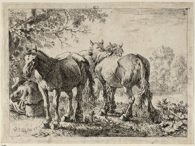 Three Horses in a Field by Pieter van Laer