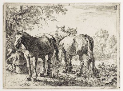 Three Horses in a Field by Pieter van Laer