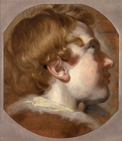 Head of a Young Boy, c.1620