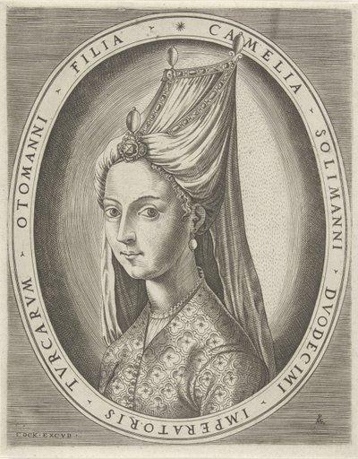Portrait of Camalia, Daughter of Suleyman I the Great by Pieter van der Heyden