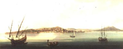 An Extensive View of the Bay of Naples by Pietro Antoniani