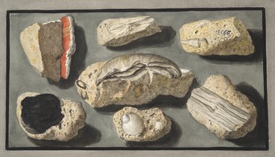 Specimens of Tufa found in and around Herculaneum, Plate XXXXV, from 