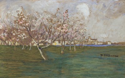 Spring by Pietro Fragiacomo