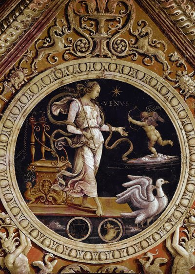 Allegorical representation of Venus by Pietro Perugino