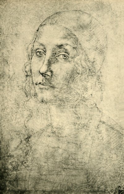 Portrait of a Woman, late 15th-early 16th century, 1943 by Pietro Perugino