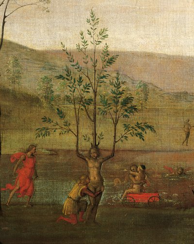 Tree-woman (detail) by Pietro Perugino