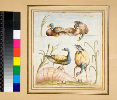 Copy of a mosaic with birds by Pietro Santi Bartoli