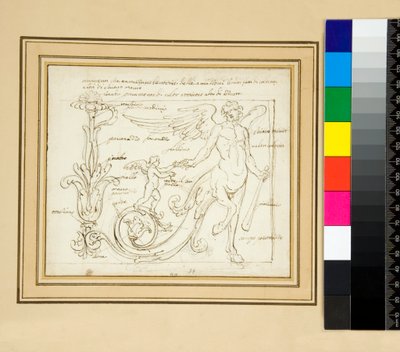Ornamenti che tramezzano le vitorie delle amazzoni by Pietro Santi Bartoli