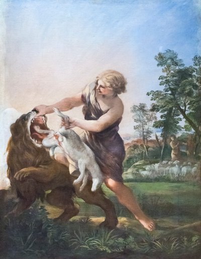 David Killing the Lion by Pietro da (1596 1669) Cortona