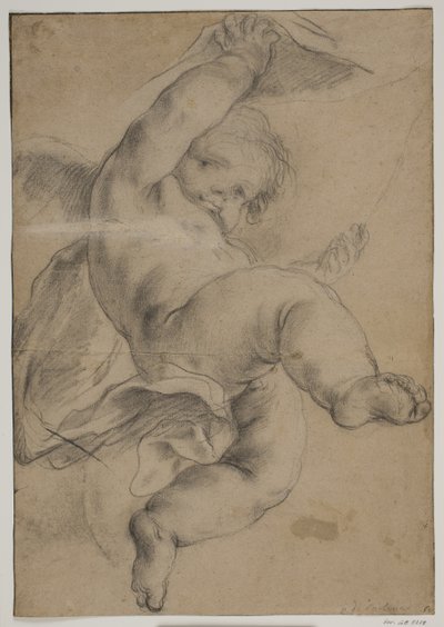 Flying Putto Lifting a Curtain by Pietro da Cortona