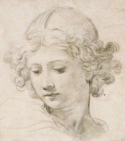 Head of an Angel, Looking Down to the Left by Pietro da Cortona