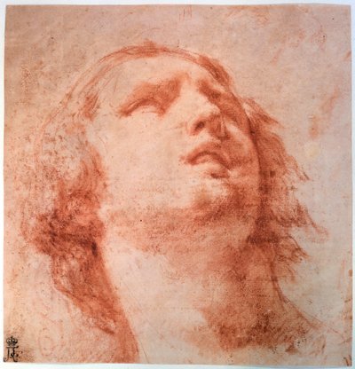 Head Study of a Woman Looking Up by Pietro da Cortona
