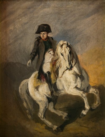 Napoleon on a Grey Horse by Piotr Michalowski