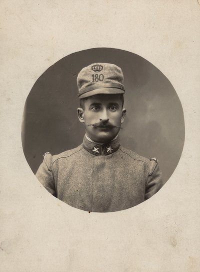 Soldier of the 180th Regiment of the Territorial Militia by Pisani Pisani