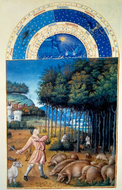 November: the slaughter of acorns. Miniature in 