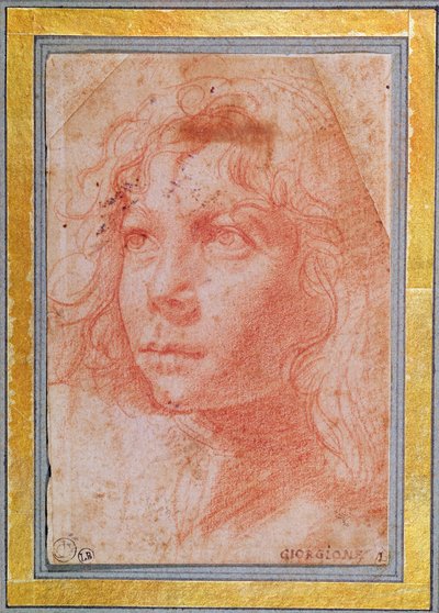 Head of a Young Boy Turned to the Left by Polidoro da Caravaggio