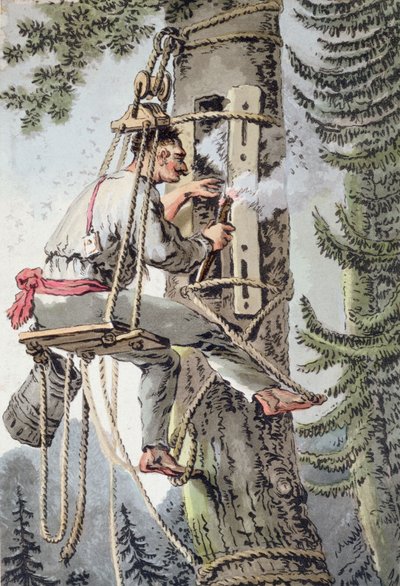 Peasant of the Podlaskie province of Poland gathering honey, early 19th century by Polish School