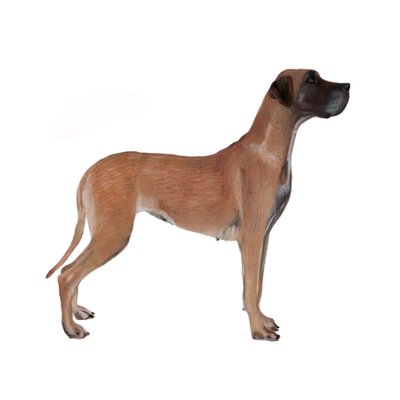 Great Dane, 2011 by Polly Horner
