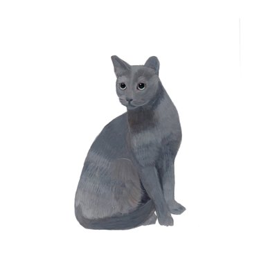 Russian Blue, 2014 by Polly Horner