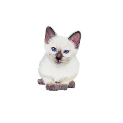 Siamese kitten, 2014 by Polly Horner