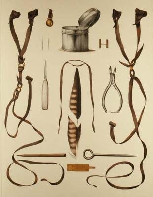 Equipment for Falconry, from 