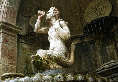 Triton Fountain, Santuário de Nossa Senhora dos Remédios, Lamego, Portugal 1738 by Portuguese School