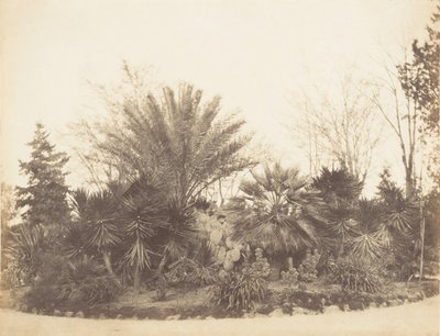Pincian Garden, Rome, 1853-56 by Possibly by Jane Martha St. John.