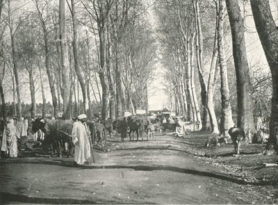 Arab Fair and Market, Boufarik, Algeria by Poulton and Co