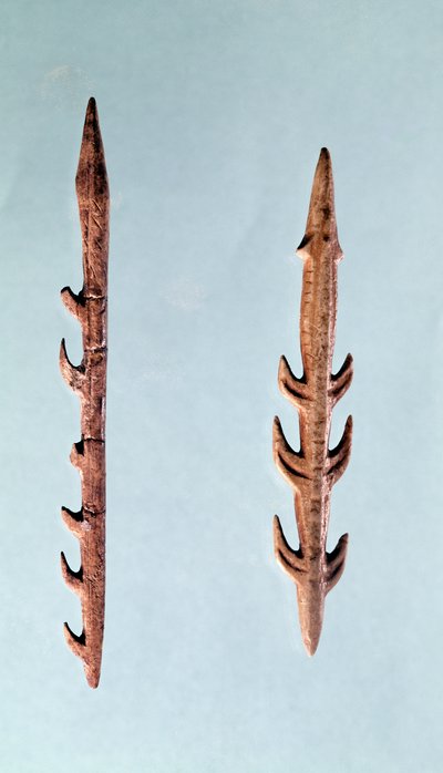 Two Harpoons, Upper Paleolithic Period by Prehistoric