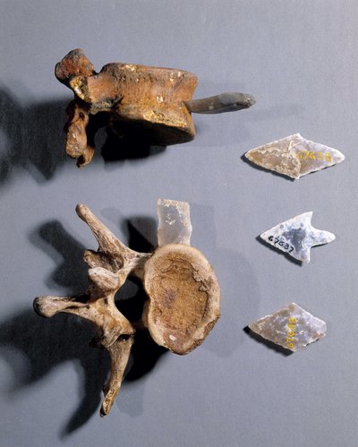 Flint with prehistoric bone in, Museum of National Antiquities by Prehistoric Prehistoric