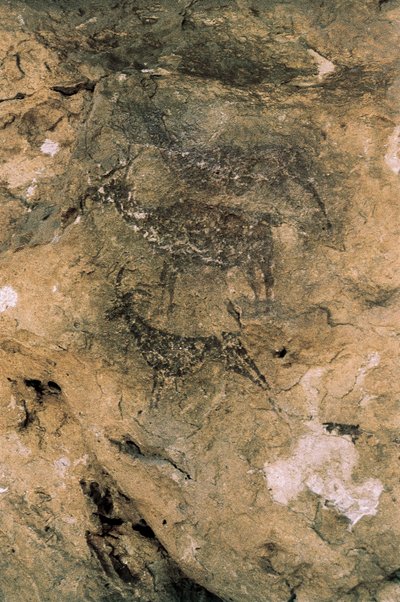 Mesolithic Rock Art: Deer and Goats, Spain, Bicorp, La Arana Cave by Prehistoric Prehistoric