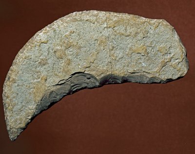 Prehistory: Chopper Type Tool of Lithic Manufacture of Kjokkenmoddinger, Denmark by Prehistoric Prehistoric