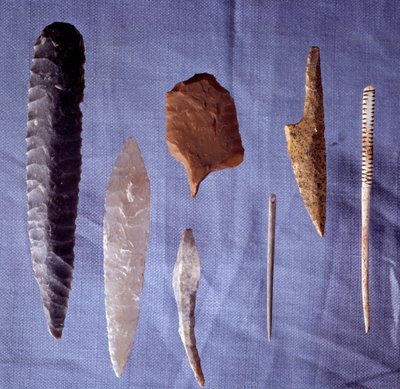 Prehistoric Tools: Flint, Knife, Arrow Tip and Needle by Prehistoric Prehistoric