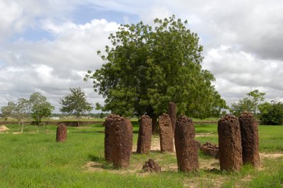 Prehistory: Megalithic circle of stones from Wassu, Gambia (photo) by Prehistoric Prehistoric