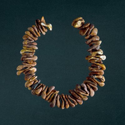 Prehistory, Stone Age: Necklace of Bones from the Cave of Polesine by Prehistoric Prehistoric