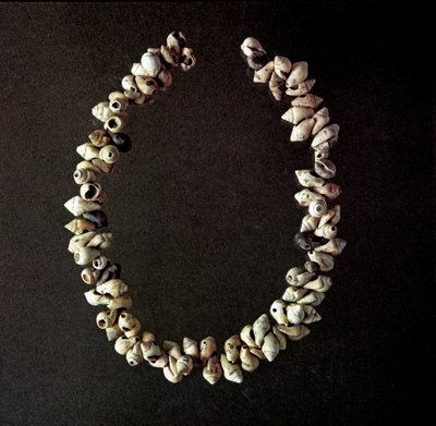 Necklace of Shells from the Cave of Polesine by Prehistoric Prehistoric
