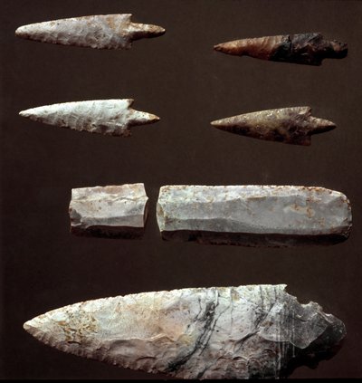 Arrow tips and flint from the necropolis of Cantalupo-Mandela, Lazio. Copper age. Eneolithic. 2200 BC. Museo Nazionale Preistorico Etnografico Luigi Pigorini, Rome by Prehistoric Prehistoric