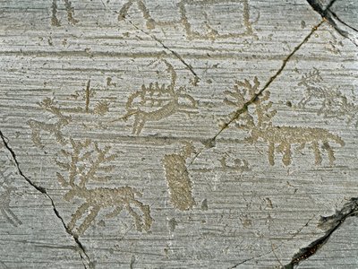 Prehistory, civilization of the Camunni, rock art: grave rock of the representation of deer. Period between the Neolithic and the Bronze Age. Rock. 1. Capo di Ponte, Parco nazionale delle incisioni rupestri di Naquane, Valcamonica, Val Camonica, Italy by Prehistoric Prehistoric
