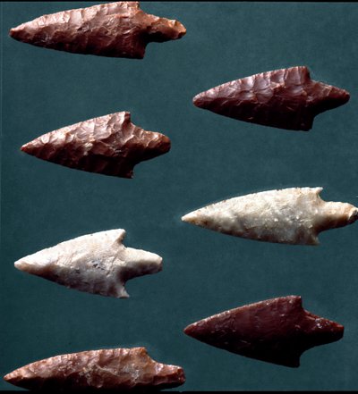 Arrows from the necropolis of Rinaldone. Copper age. Eneolithic. 2200 BC. Museo Nazionale Preistorico Etnografico Luigi Pigorini, Rome by Prehistoric Prehistoric