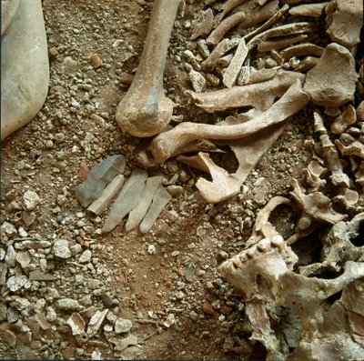Prehistory: double sepulture of adults and children. Detail view of the funeral trousseau from the Candid Arene Cave (Finale Liguria), Liguria. Mesolithic, 7000-6000 BC. Genes, museo di archeologia ligure by Prehistoric Prehistoric