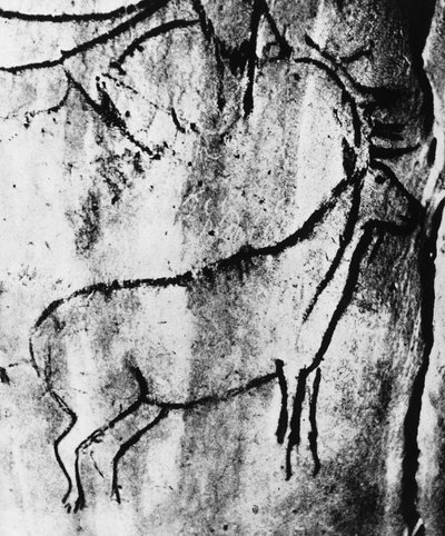 Prehistory: representation of a deer in the cave of Niaux in Ariege - photography. by Prehistoric Prehistoric