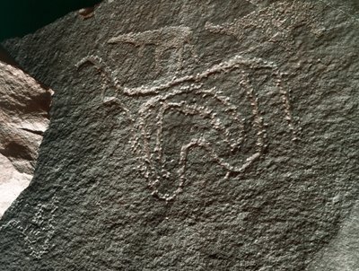 Rock Art: Representation of Cattle. Tazina Style (5000-2000 BC). Taghit, Haut Plateau du Hoggar, Algeria by Prehistoric Prehistoric