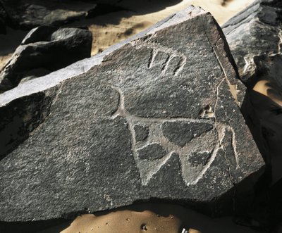 Rock Art: Representation of a Cattle by Prehistoric Prehistoric