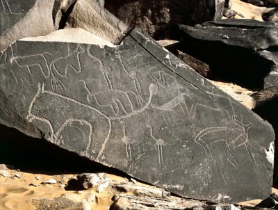 Prehistory, rock art: grave rock depicting lions, antelopes, ostrich and cattle. Stone Age 5000-2000 BC by Prehistoric Prehistoric