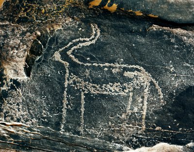 Prehistory, Rock Art: Grave Rock of the Representation of an Antelope by Prehistoric Prehistoric