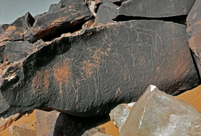 Prehistory, Rock Art: Grave Rock of the Representation of Cattle by Prehistoric Prehistoric