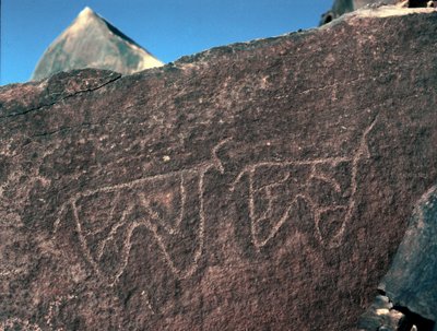Rock art: grave rock of the representation of cattle (Tazina style, Stone Age 5000-2000 BC) by Prehistoric Prehistoric