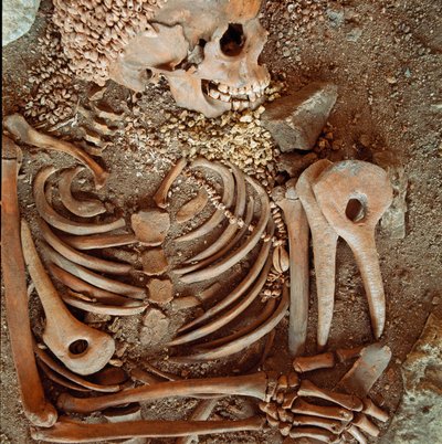 Skeleton and funerary trousseau of teenagers said of the young prince from the cave of the Arene Candide: necklace of shells, deer horn and flint. Stone Age, Upper Paleolithic. Museo di archeologia Ligure, Genoa by Prehistoric Prehistoric