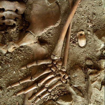 Prehistory: Teenage Sepulture (Detail) by Prehistoric Prehistoric